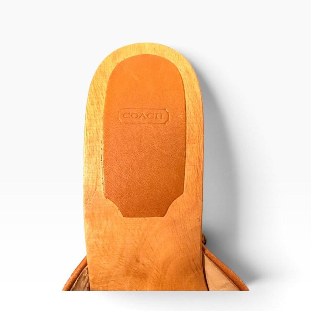 Vintage y2k Coach Brenda Blue Wood Clog Sandals